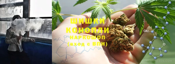 скорость Новозыбков