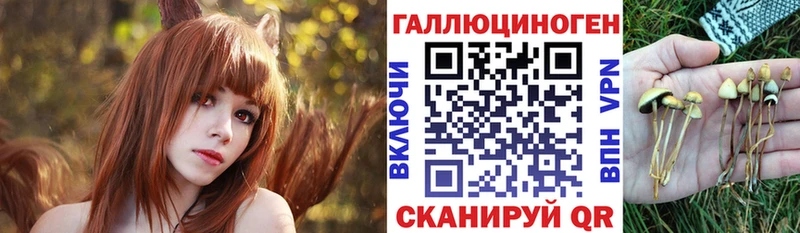 где купить   Александровск-Сахалинский  Галлюциногенные грибы GOLDEN TEACHER 