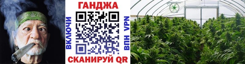 как найти закладки  Александровск-Сахалинский  Бошки Шишки Amnesia 